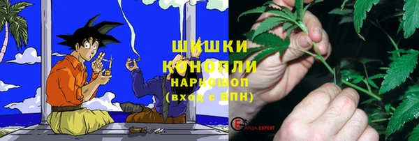 дмт Магас