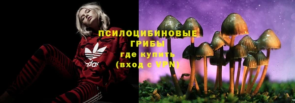 дмт Магас
