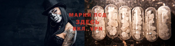 шишки Майский