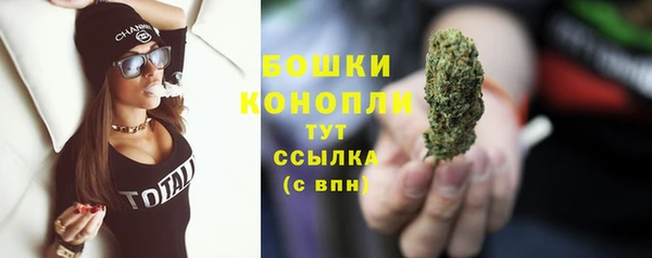 прущие грибы Вязники