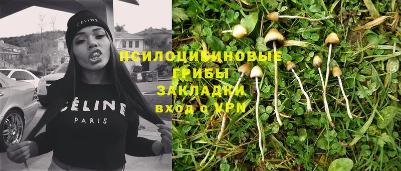 Галлюциногенные грибы Magic Shrooms  мега рабочий сайт  Кодинск 